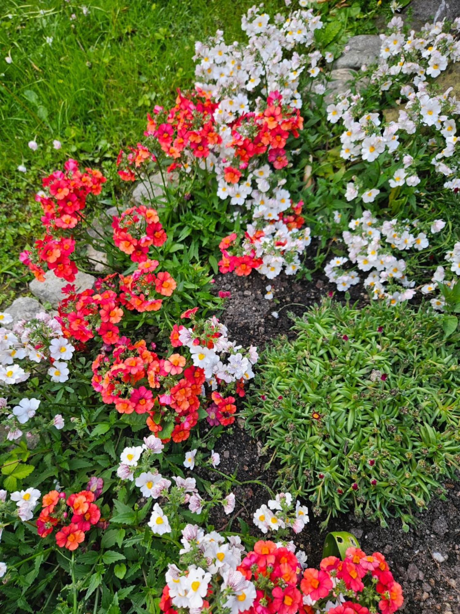 Gardainn Giardino 38A Рива дел Гарда Екстериор снимка
